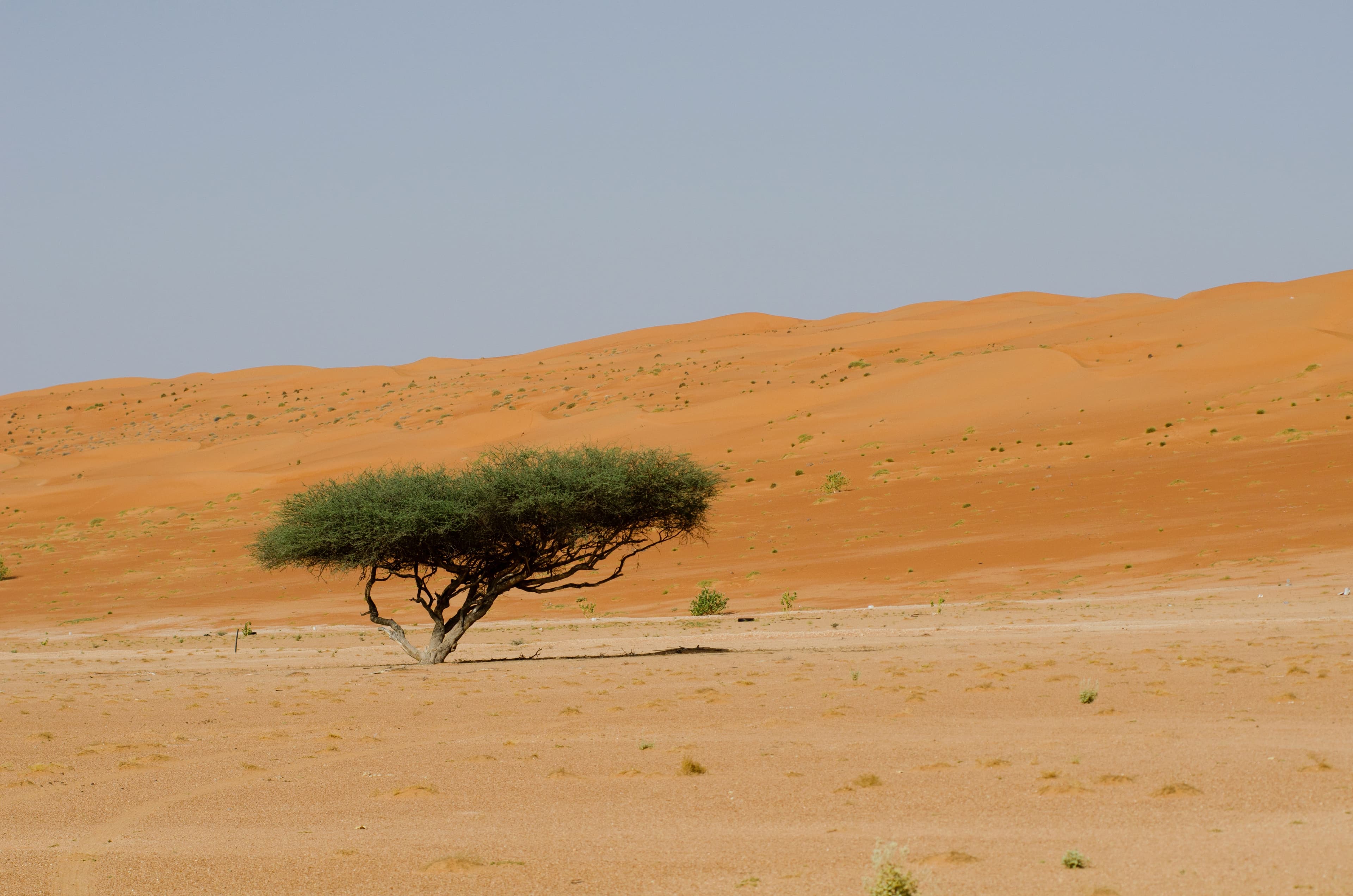 قمة الوعي على الأقدام