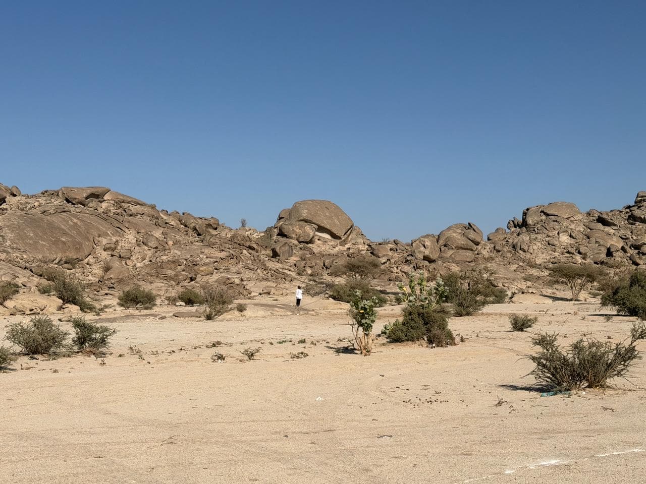قمة الوعي على الأقدام
